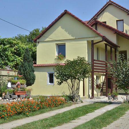 Hotel Vila Bel Ami Şelimbăr Camera foto